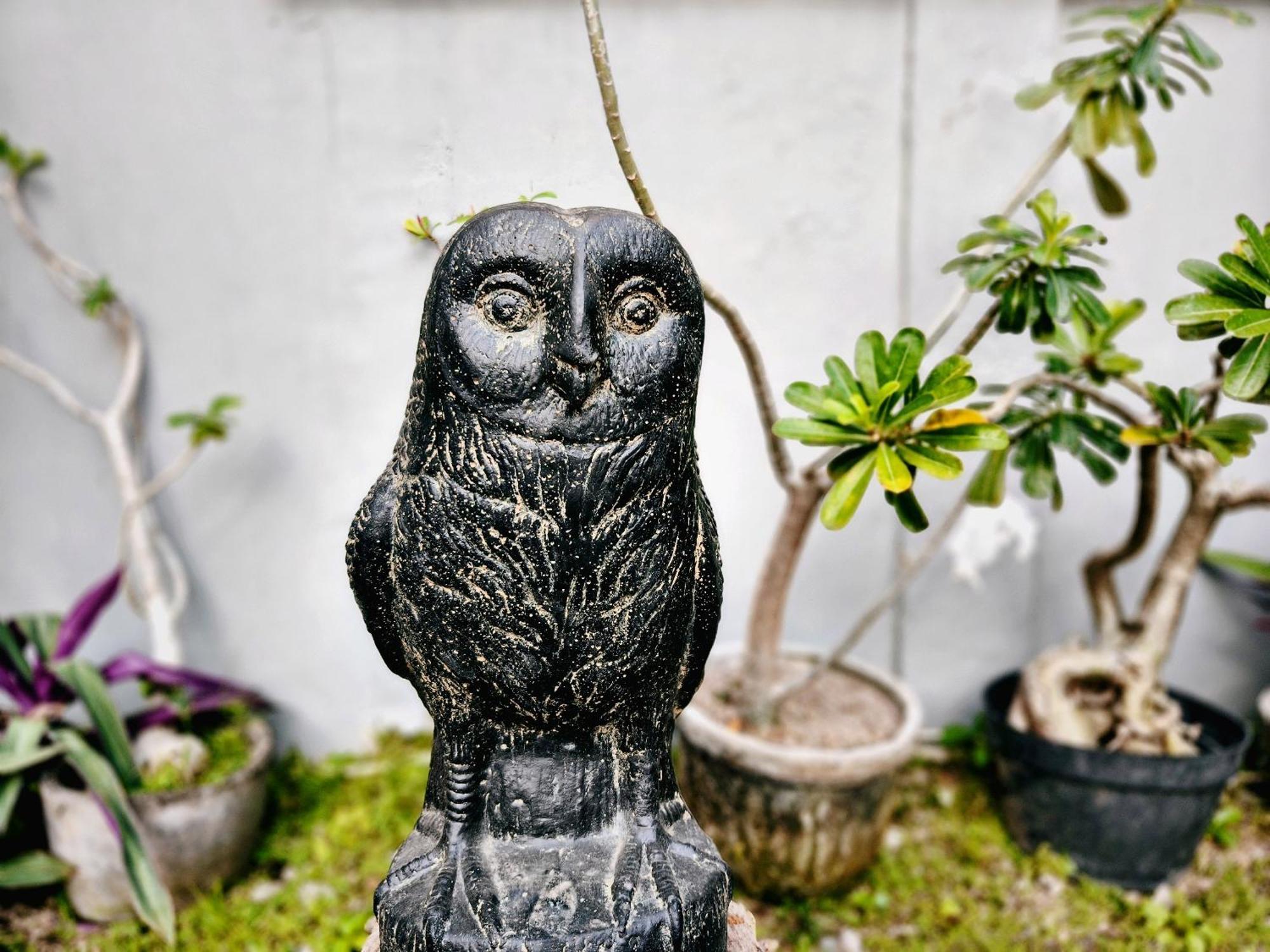 Panda Lumbung Sanur (Bali)
