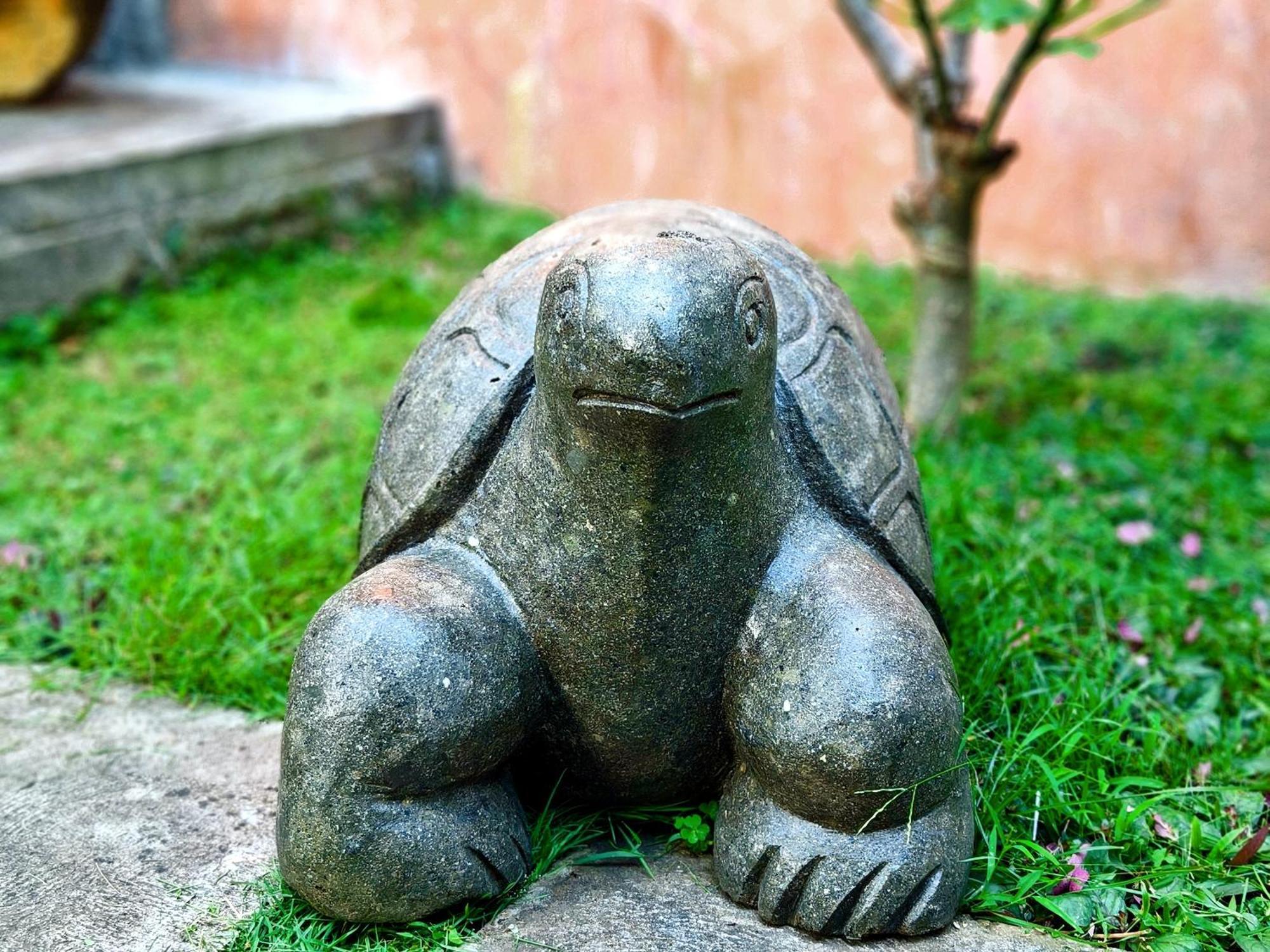 Panda Lumbung